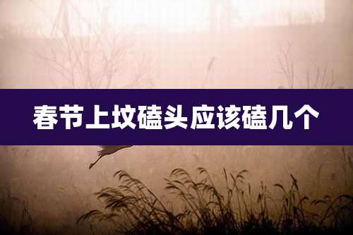 春节上坟磕头应该磕几个