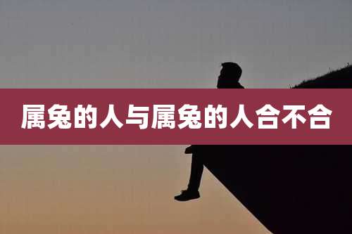 属兔的人与属兔的人合不合