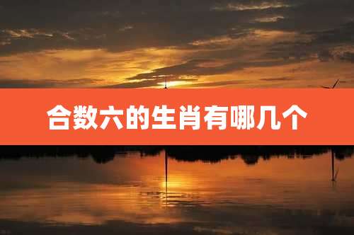 合数六的生肖有哪几个