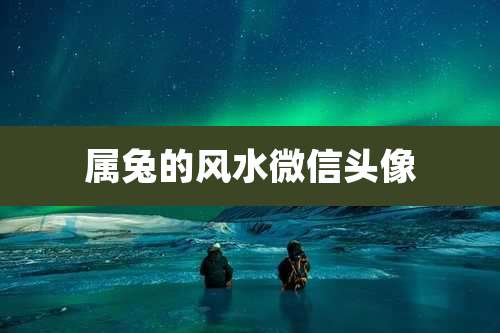 属兔的风水微信头像