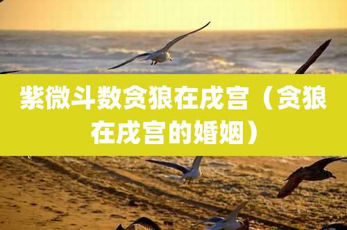 紫微斗数贪狼在戌宫（贪狼在戌宫的婚姻）