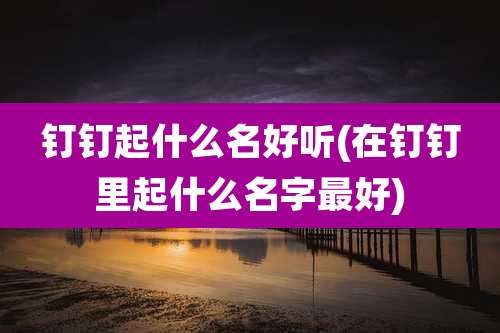 钉钉起什么名好听(在钉钉里起什么名字最好)