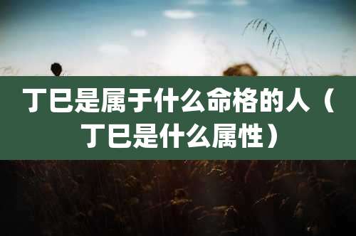 丁巳是属于什么命格的人（丁巳是什么属性）