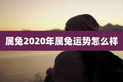 属兔2020年属兔运势怎么样