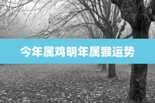 今年属鸡明年属猴运势