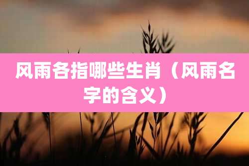 风雨各指哪些生肖（风雨名字的含义）