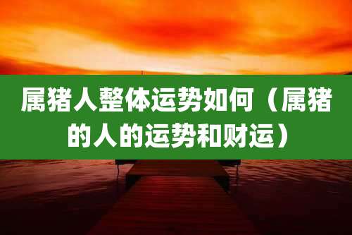 属猪人整体运势如何（属猪的人的运势和财运）