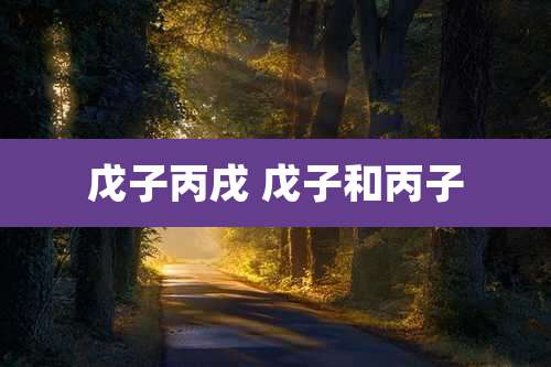 戊子丙戌 戊子和丙子