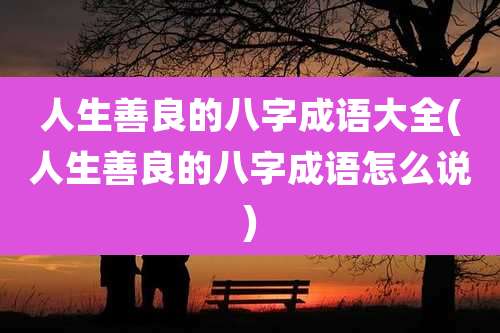 人生善良的八字成语大全(人生善良的八字成语怎么说)