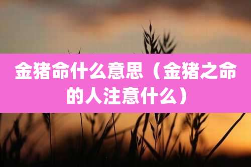 金猪命什么意思（金猪之命的人注意什么）