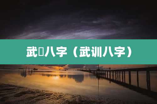 武曌八字（武训八字）