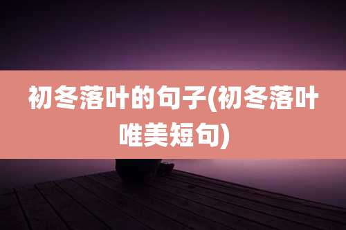 初冬落叶的句子(初冬落叶唯美短句)