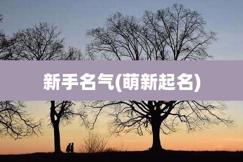 新手名气(萌新起名)