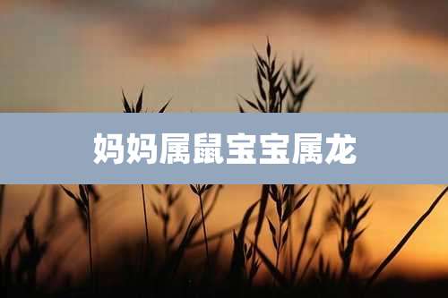 妈妈属鼠宝宝属龙