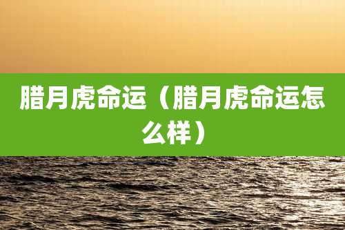 腊月虎命运（腊月虎命运怎么样）