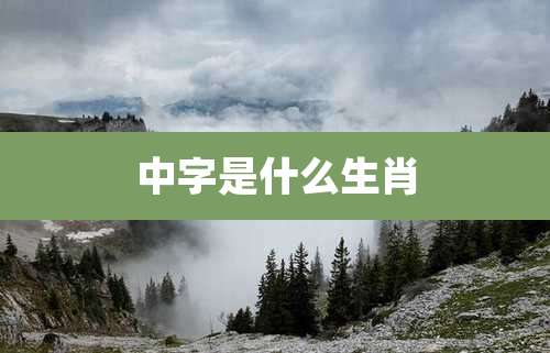 中字是什么生肖