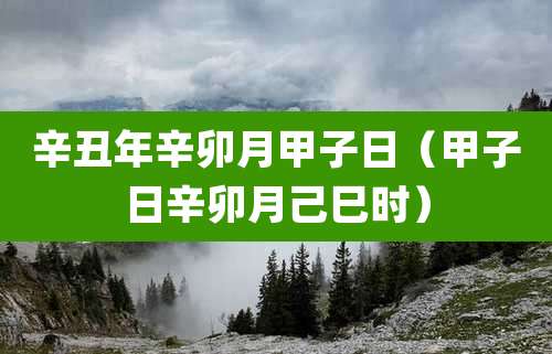 辛丑年辛卯月甲子日(甲子日辛卯月己巳时)