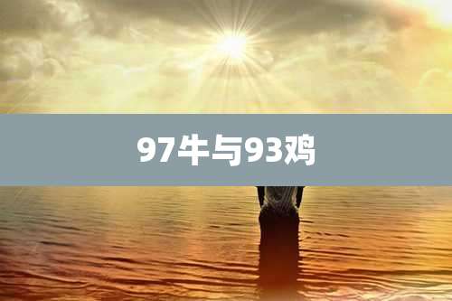 97牛与93鸡