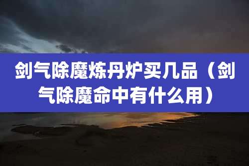 剑气除魔炼丹炉买几品（剑气除魔命中有什么用）