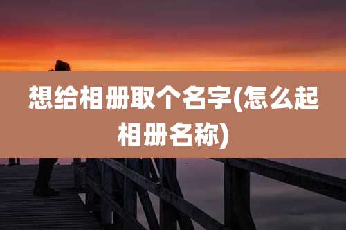 想给相册取个名字(怎么起相册名称)