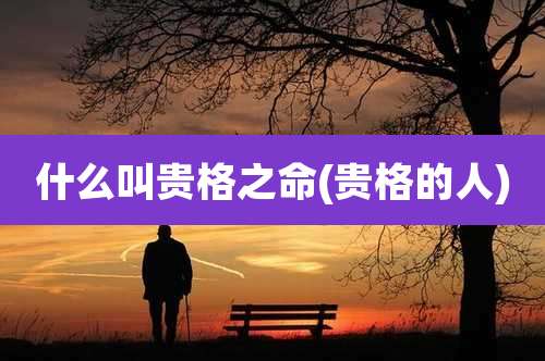 什么叫贵格之命(贵格的人)