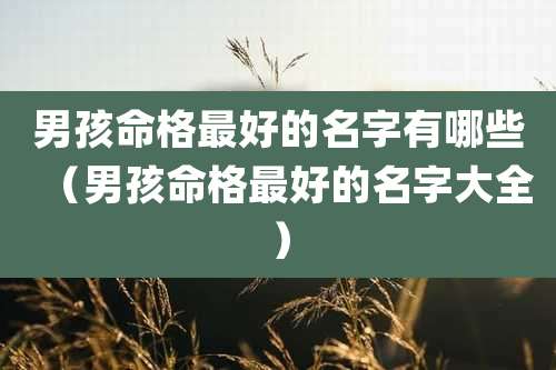 男孩命格最好的名字有哪些（男孩命格最好的名字大全）