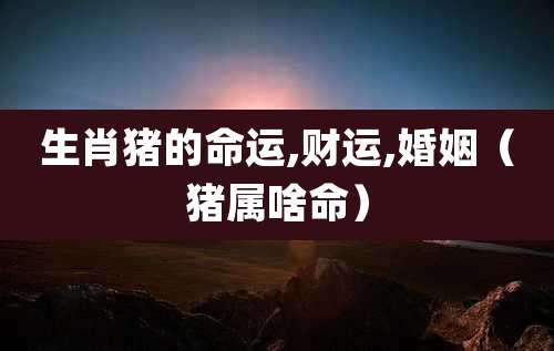 生肖猪的命运,财运,婚姻(猪属啥命)