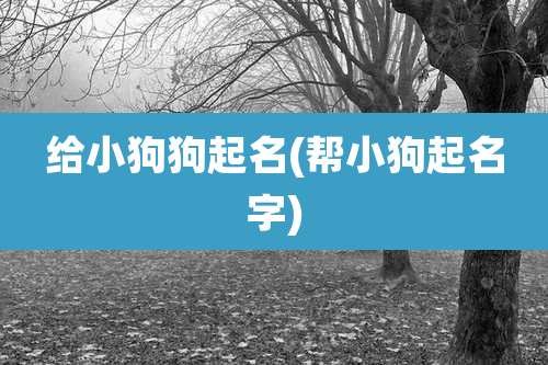 给小狗狗起名(帮小狗起名字)