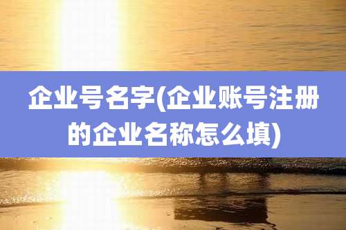 企业号名字(企业账号注册的企业名称怎么填)