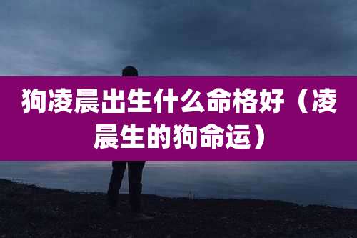 狗凌晨出生什么命格好（凌晨生的狗命运）