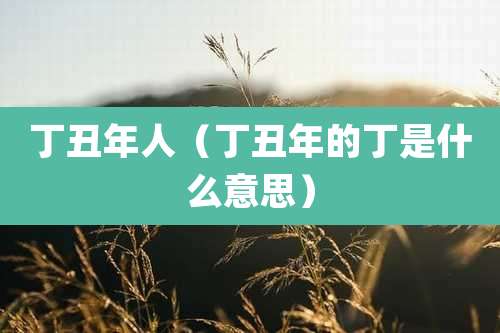 丁丑年人（丁丑年的丁是什么意思）