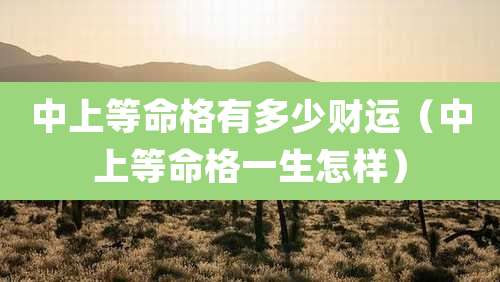 中上等命格有多少财运（中上等命格一生怎样）