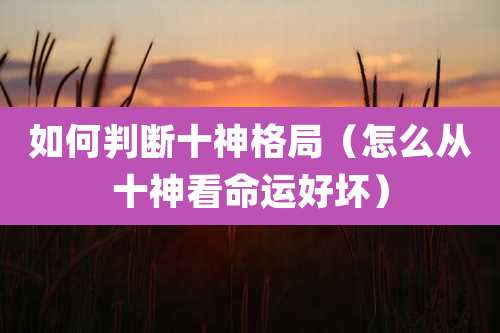 如何判断十神格局（怎么从十神看命运好坏）