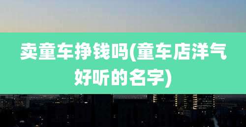 卖童车挣钱吗(童车店洋气好听的名字)
