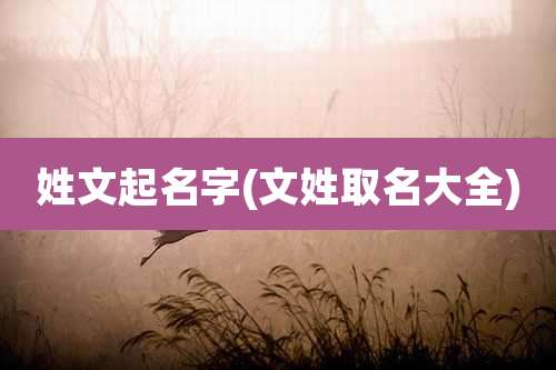 姓文起名字(文姓取名大全)