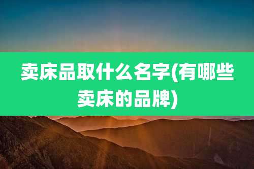 卖床品取什么名字(有哪些卖床的品牌)