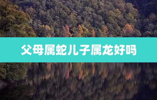 父母属蛇儿子属龙好吗