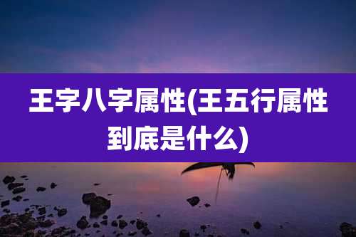 王字八字属性(王五行属性到底是什么)