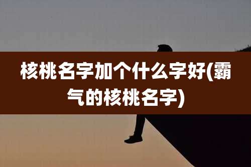 核桃名字加个什么字好(霸气的核桃名字)