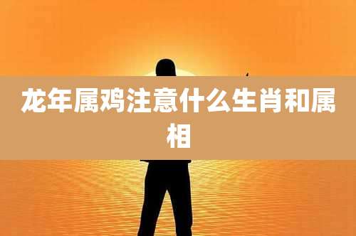 龙年属鸡注意什么生肖和属相