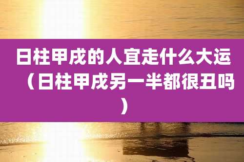 日柱甲戌的人宜走什么大运（日柱甲戌另一半都很丑吗）