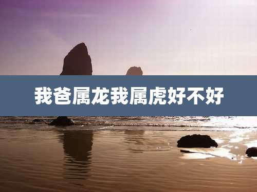 我爸属龙我属虎好不好