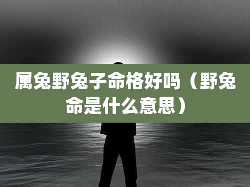 属兔野兔子命格好吗（野兔命是什么意思）