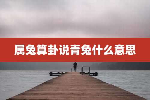 属兔算卦说青兔什么意思