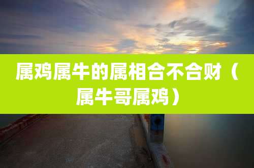 属鸡属牛的属相合不合财（属牛哥属鸡）