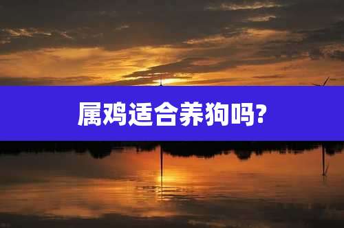 属鸡适合养狗吗?