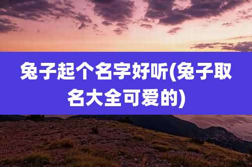 兔子起个名字好听(兔子取名大全可爱的)