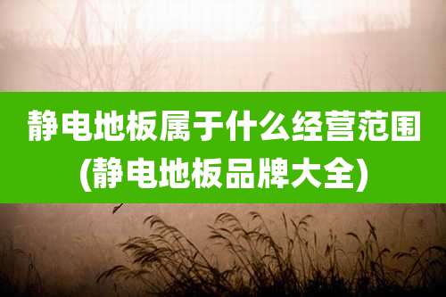 静电地板属于什么经营范围(静电地板品牌大全)