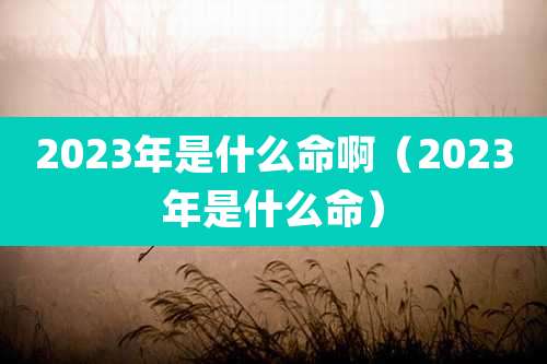 2023年是什么命啊（2023年是什么命）