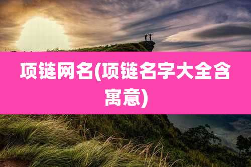 项链网名(项链名字大全含寓意)